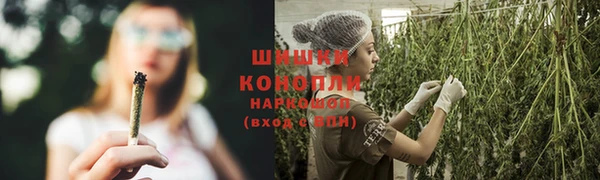 ECSTASY Белокуриха