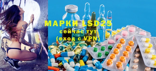 ECSTASY Белокуриха