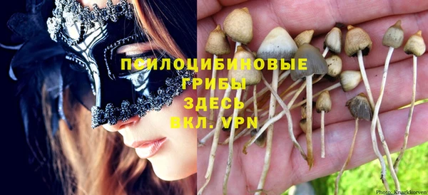 ECSTASY Белокуриха
