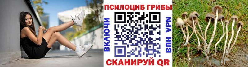 Псилоцибиновые грибы Psilocybine cubensis Буинск
